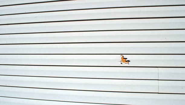 Best Engineered Wood Siding  in Onancock, VA
