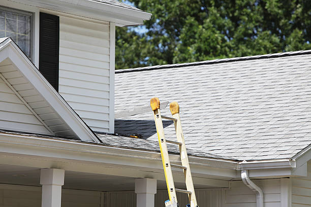 Best Siding Painting and Refinishing  in Onancock, VA